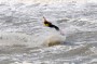 Thumbs/tn_Kite Board Open 2016 zaterdag 040.jpg